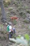 dsc_0077_small.jpg