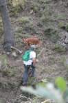 dsc_0078_small.jpg