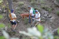 dsc_0079_small.jpg