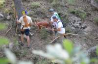 dsc_0080_small.jpg