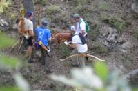 dsc_0081_small.jpg