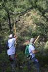 dsc_0087_small.jpg