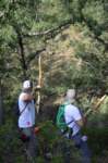 dsc_0089_small.jpg