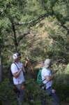 dsc_0090_small.jpg