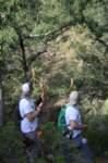 dsc_0091_small.jpg