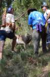 dsc_0116_small.jpg