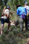 dsc_0117_small.jpg