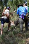 dsc_0118_small.jpg