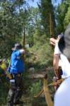 dsc_0124_small.jpg