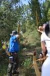 dsc_0128_small.jpg
