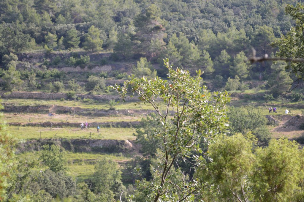dsc_0220.jpg
