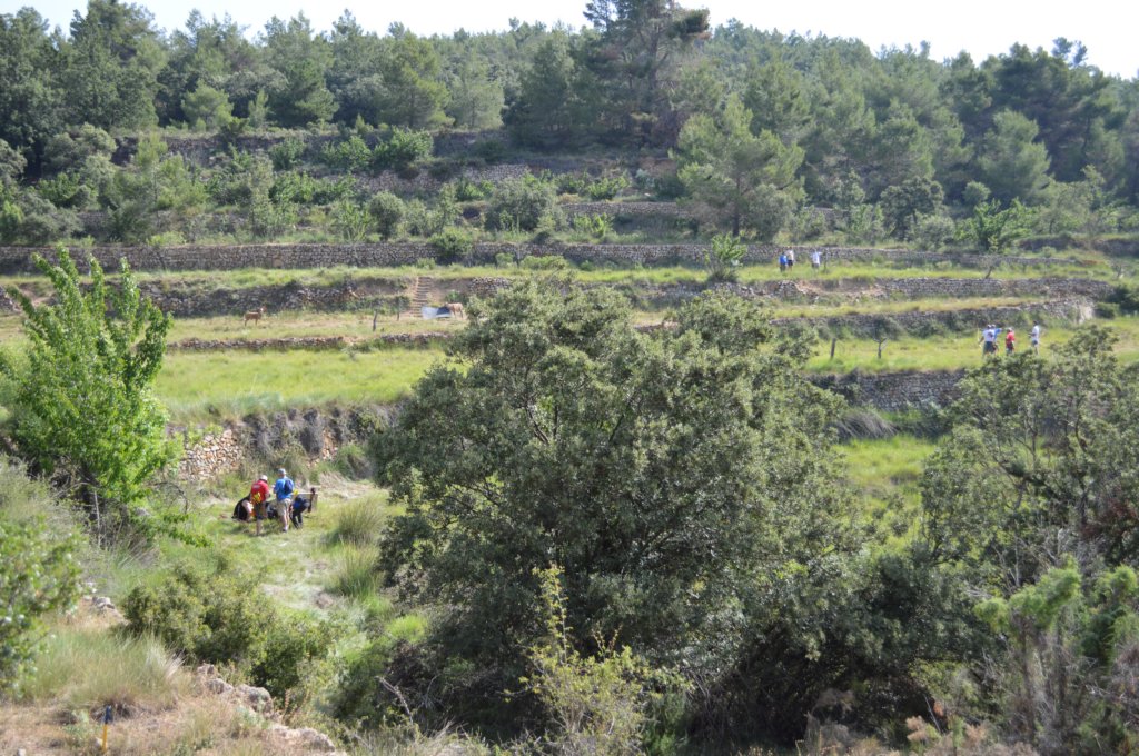 dsc_0303.jpg