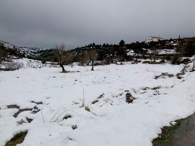 img20170215wa0022.jpg
