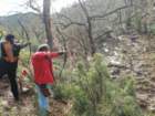img20170216wa0008_small.jpg
