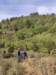 img_20230429_105930_small.jpg